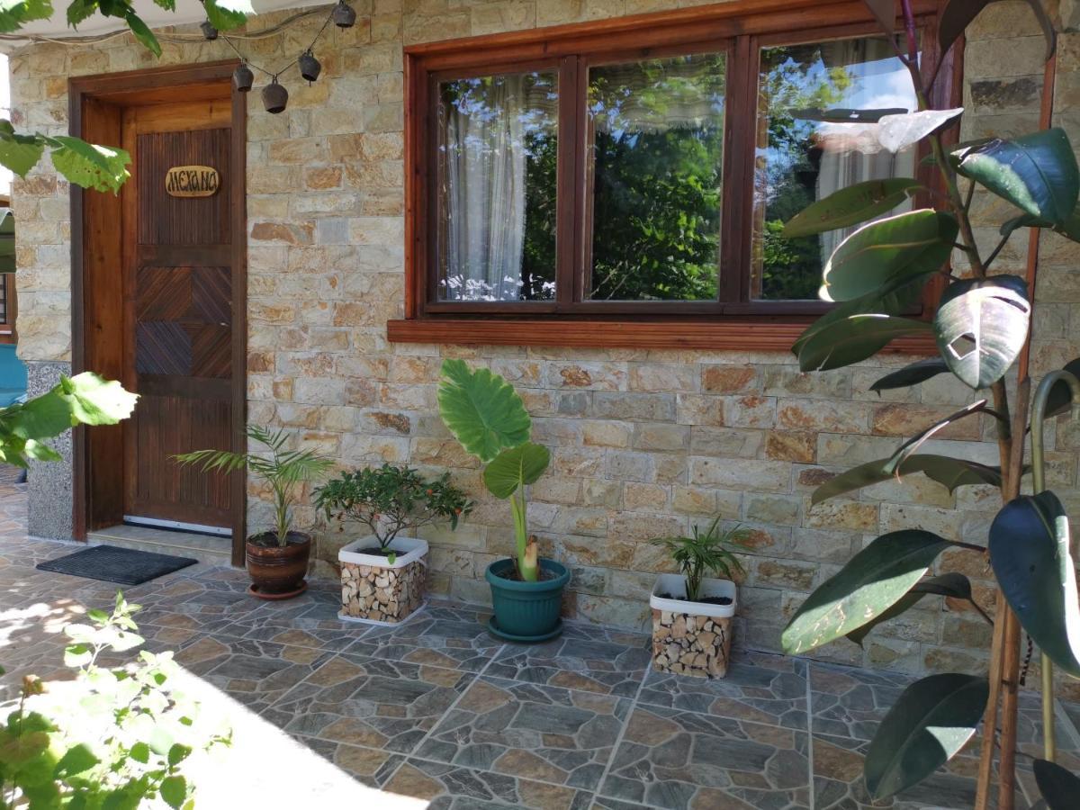Guest House Milka Yagodina Extérieur photo